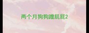 两个月狗狗蹭屁屁