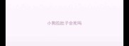 小狗拉肚子会死吗