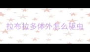 拉布拉多体外怎么驱虫