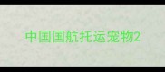 中国国航托运宠物