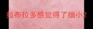 拉布拉多感觉得了细小