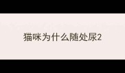 猫咪为什么随处尿