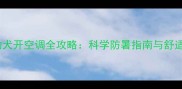 两个月大幼犬开空调全攻略科学防暑指南与舒适降温技巧