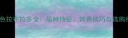 纯黑色拉布拉多全品种特征饲养技巧与选购指南