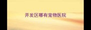 开发区哪有宠物医院