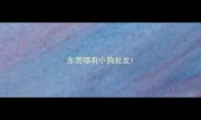 东莞哪有小狗批发
