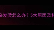 猫咪鼻子耳朵发烫怎么办5大原因及科学护理指南
