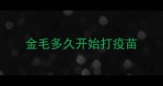 金毛多久开始打疫苗