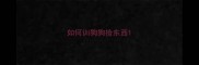 如何训狗狗捡东西