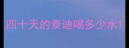 四十天的泰迪喝多少水