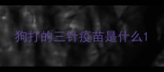 狗打的三针疫苗是什么