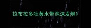 拉布拉多吐黄水带泡沫发烧