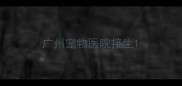 广州宠物医院接生