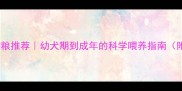 哈士奇专用狗粮推荐幼犬期到成年的科学喂养指南附最新排行榜