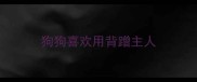狗狗喜欢用背蹭主人