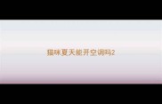 猫咪夏天能开空调吗