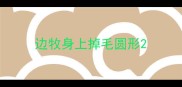 边牧身上掉毛圆形