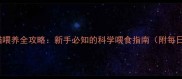 30天小猫喂养全攻略新手必知的科学喂食指南附每日食谱