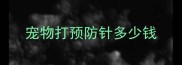 宠物打预防针多少钱