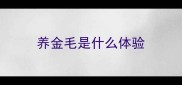 养金毛是什么体验