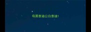 母黑泰迪公白泰迪
