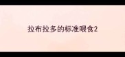 拉布拉多的标准喂食