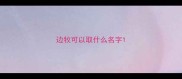 边牧可以取什么名字