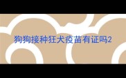 狗狗接种狂犬疫苗有证吗