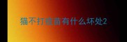 猫不打疫苗有什么坏处
