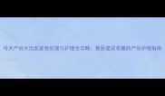 母犬产后大出血紧急处理与护理全攻略兽医建议收藏的产后护理指南