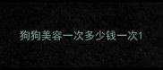狗狗美容一次多少钱一次