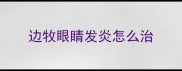 边牧眼睛发炎怎么治