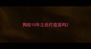 狗咬10年之后打疫苗吗