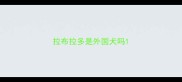 拉布拉多是外国犬吗