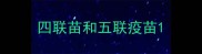 四联苗和五联疫苗