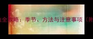 边牧体外驱虫全攻略季节方法与注意事项附最新指南