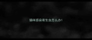 猫咪感染寄生虫怎么办