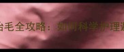 哈士奇5个月换胎毛全攻略如何科学护理避免泪痕和掉毛