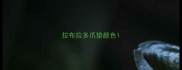 拉布拉多爪垫颜色