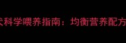 边境牧羊犬幼犬科学喂养指南均衡营养配方与饮食禁忌全