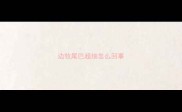 边牧尾巴超细怎么回事