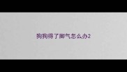 狗狗得了脚气怎么办