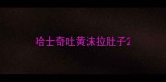 哈士奇吐黄沫拉肚子