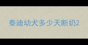 泰迪幼犬多少天断奶
