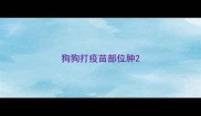 狗狗打疫苗部位肿