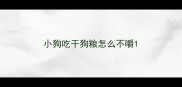 小狗吃干狗粮怎么不嚼