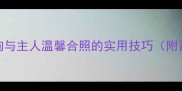 10个拍摄宠物狗与主人温馨合照的实用技巧附百张高清案例