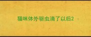 猫咪体外驱虫滴了以后