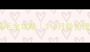 小土狗换牙换毛全攻略3-6月龄护理要点大公开