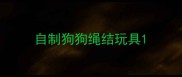 自制狗狗绳结玩具